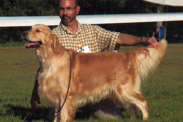 dressage chien en Aquitaine (33)