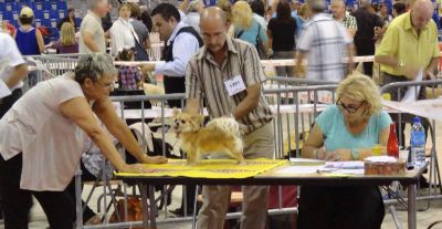 Exposition Internationale de Cahors le27-07-2014