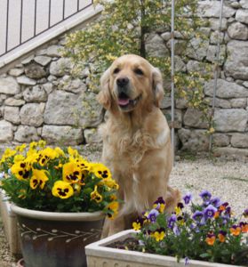 Echographie positive pour FANNY