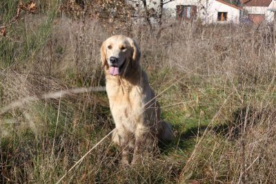 Echographie positive pour GEOLAN