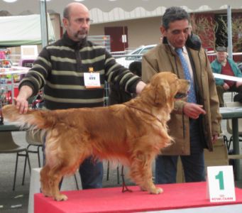 Exposition de Bergerac le 28-03-10