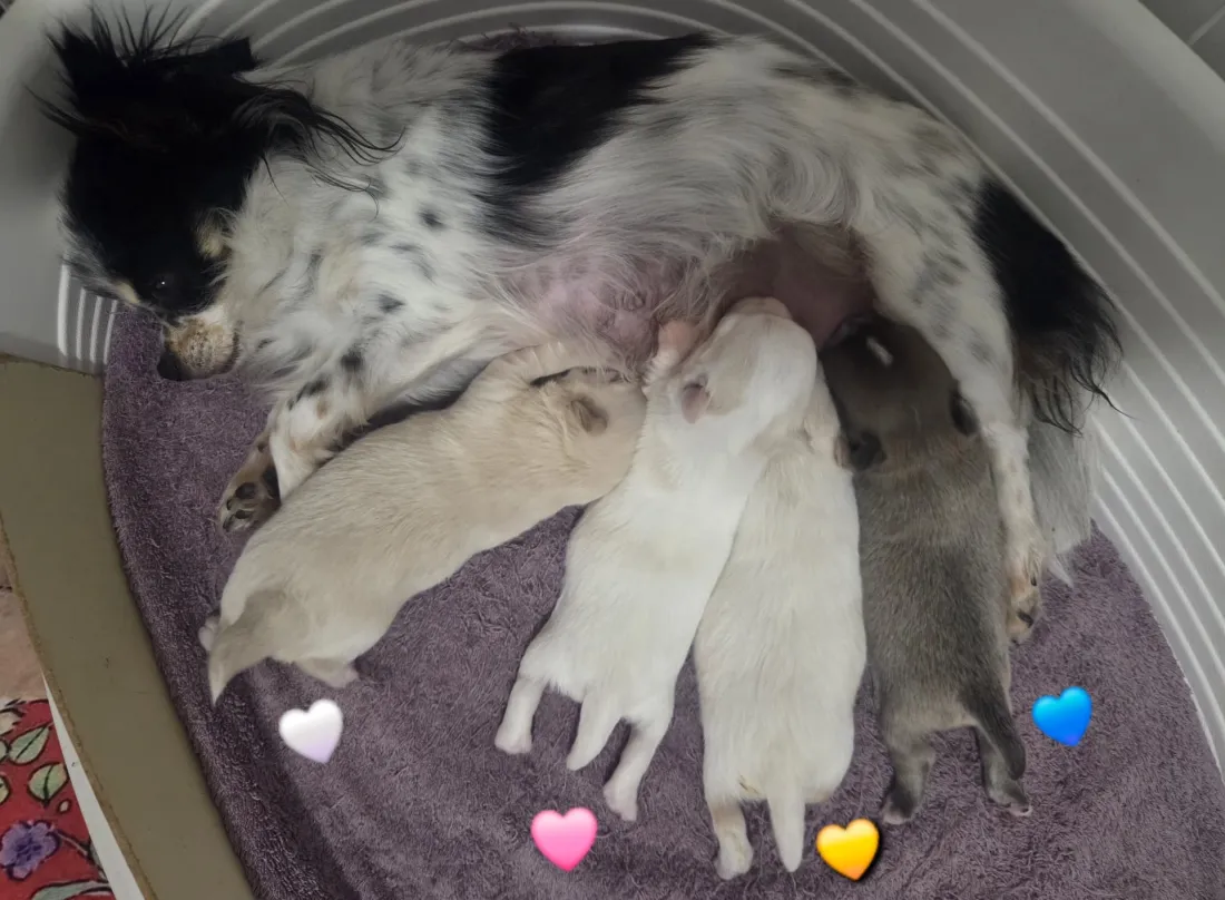 whatsapp-image-2026-07-03-at-085520.webp